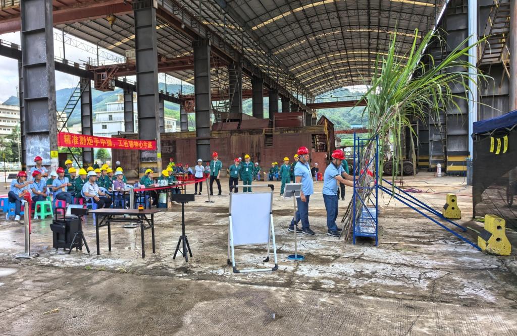 甘蔗种类甄别项目 .jpg 甘蔗种类甄别项目 .jpg