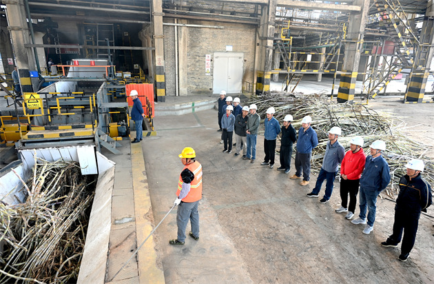 落蔗开榨.jpg 落蔗开榨.jpg