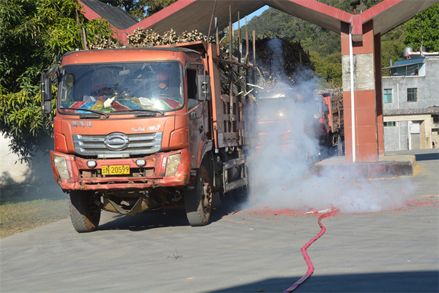 第一车蔗.jpg 第一车蔗.jpg