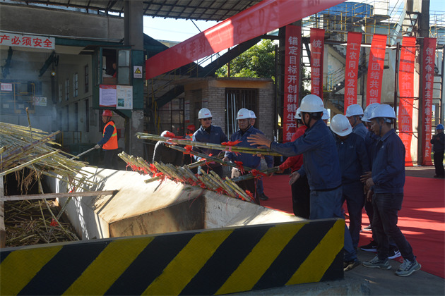 落蔗.jpg 落蔗.jpg